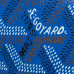 goyard-saint-louis-tote-bag-replica-bag-blue-2-2